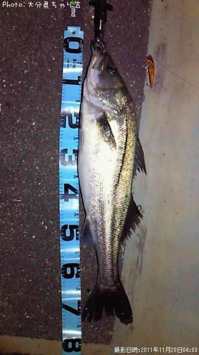 �����Х�