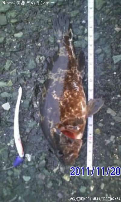 �����Υ���Х�