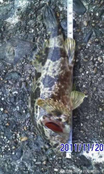 �����Υ���Х�