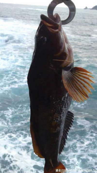 �����ʥ�