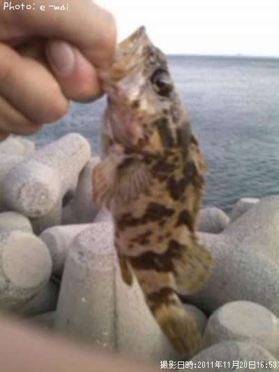 �����Υ���Х�