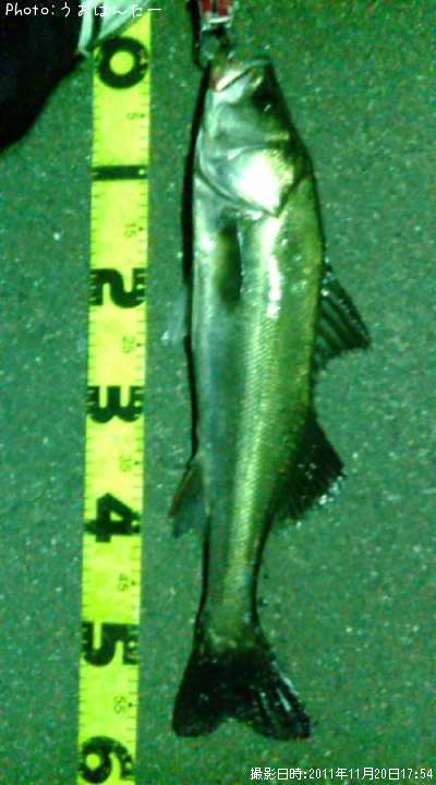 �����Х�