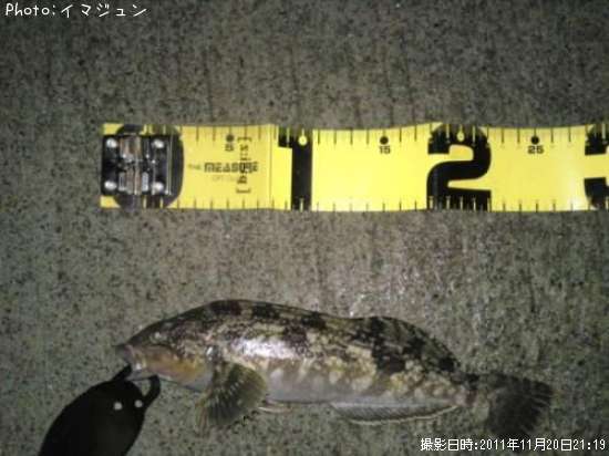 �����ʥ�