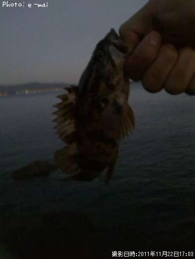 �����Υ���Х�