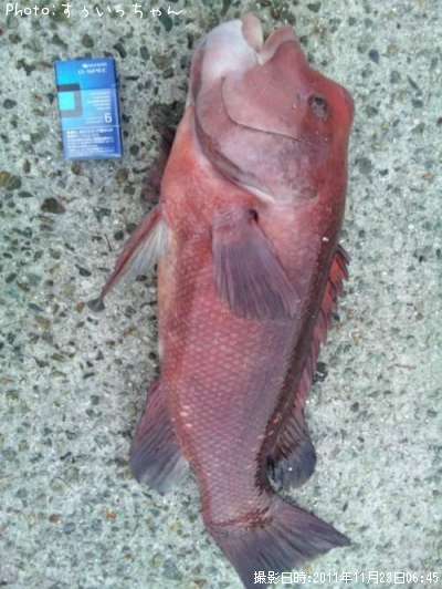 ���֤���