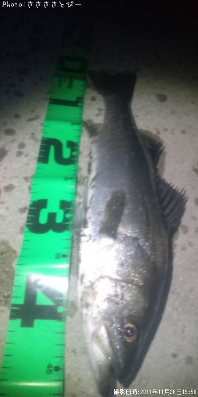 �����Х�