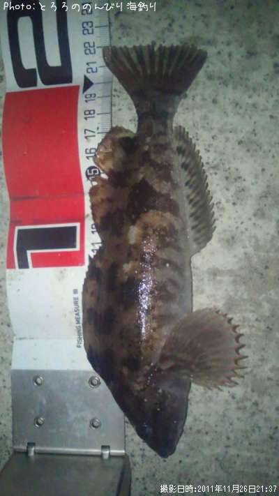 �����ʥ�