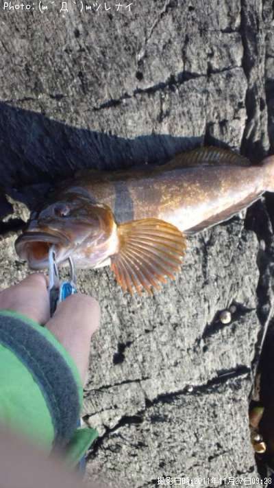 �����ʥ�