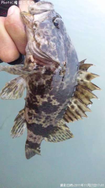 �����Υ���Х�