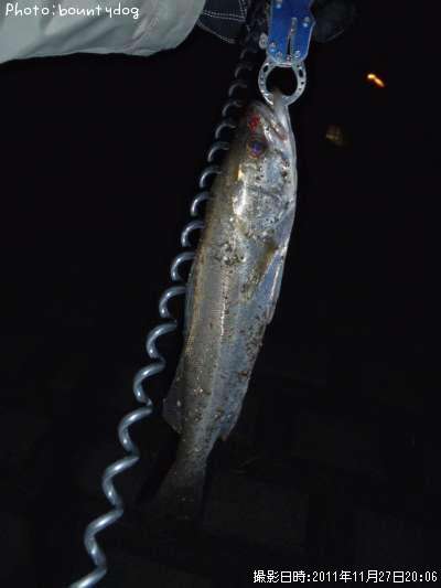 �����Х�