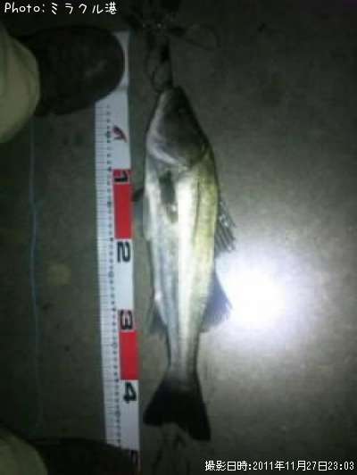 �����Х�