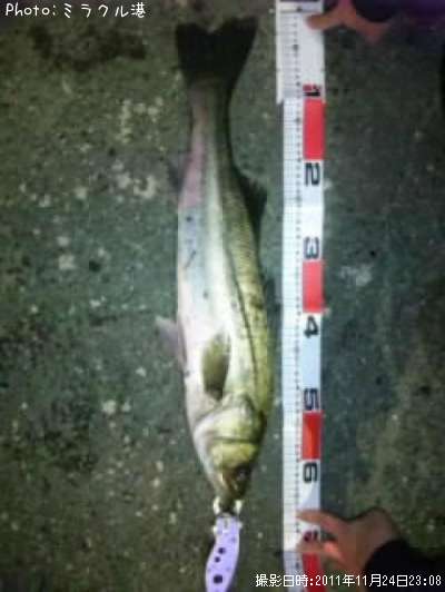 �����Х�