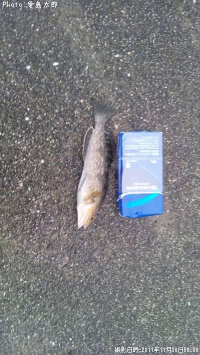 �����ʥ�