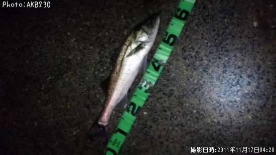 �����Х�