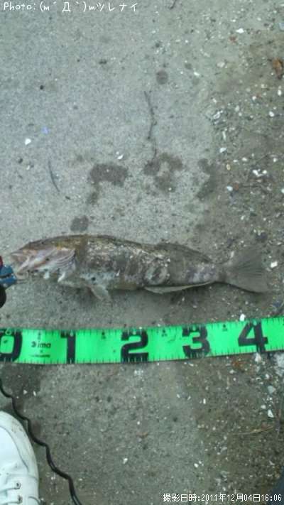 �����ʥ�