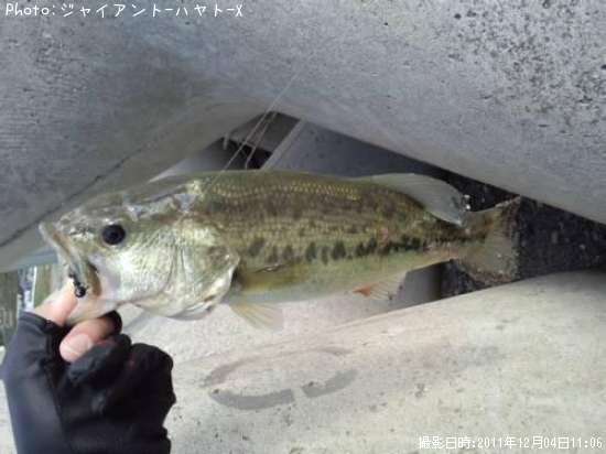 �֥�å��Х�