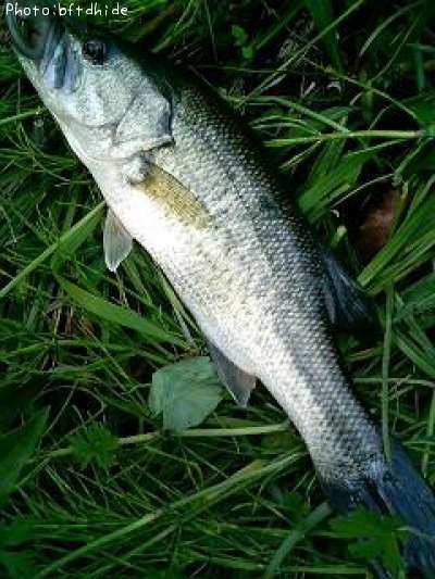 �֥�å��Х�