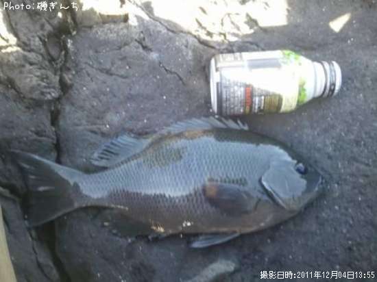 �����᥸��