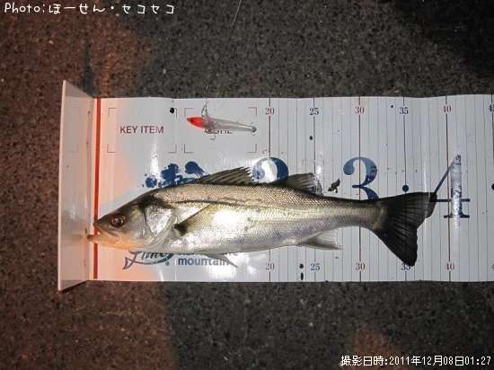 �����Х�