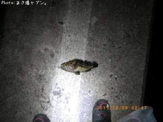 ���ޥ���