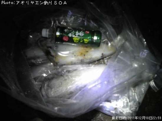 �����ꥤ��