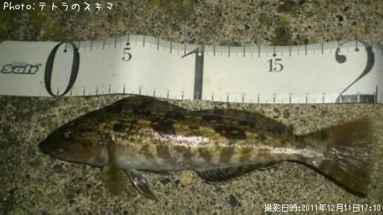 �����ʥ�