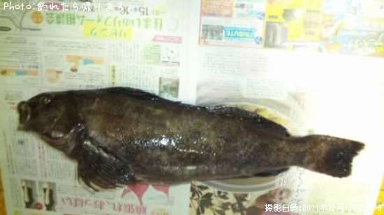 �����ʥ�