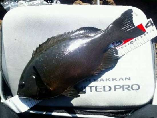 �����᥸��