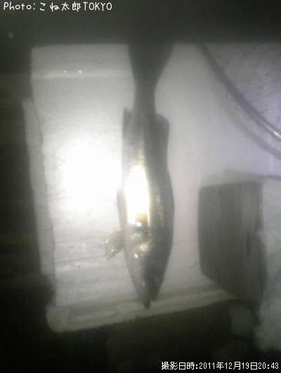 �����Х�