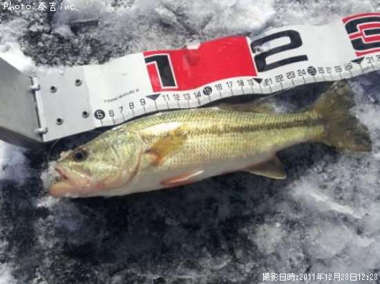 �֥�å��Х�