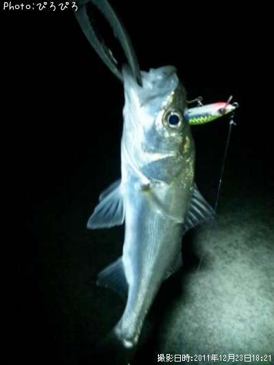 �����Х�