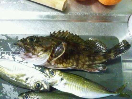 ���å���