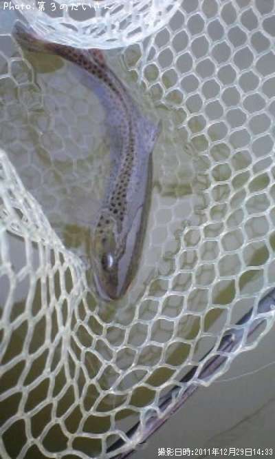 �֥饦��ȥ饦��