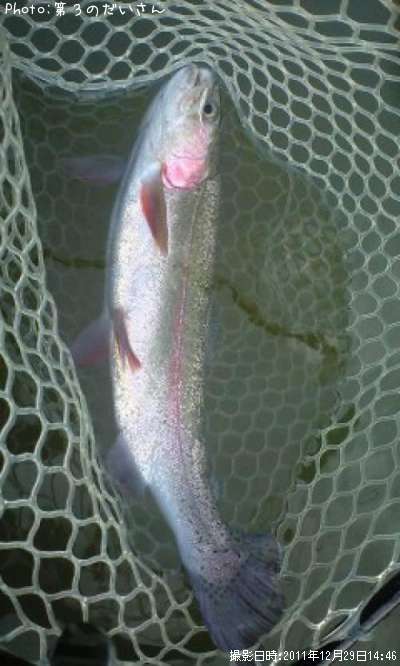 �쥤��ܡ��ȥ饦��