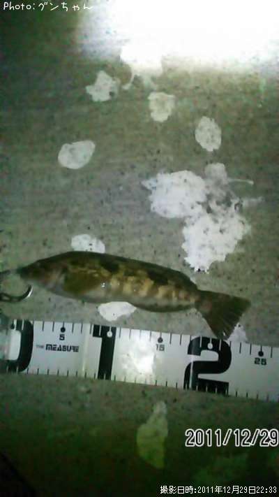 �����ʥ�