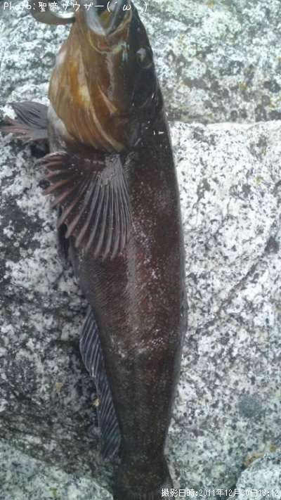 �����ʥ�