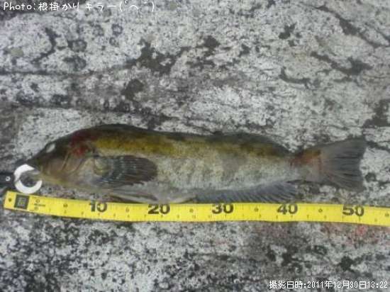 �����ʥ�