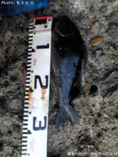 �����᥸��