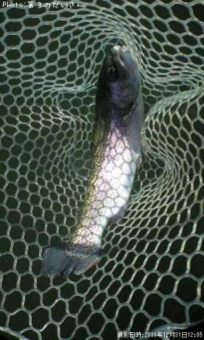 �쥤��ܡ��ȥ饦��