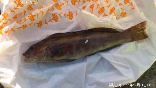 �����ʥ�