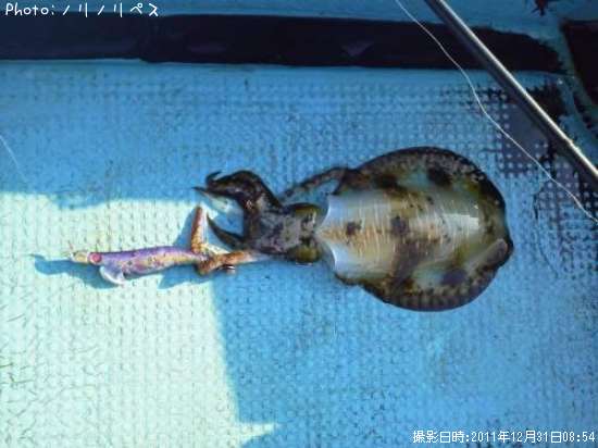 �����ꥤ��