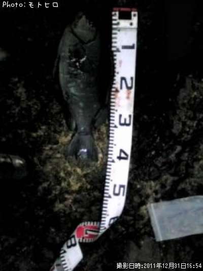 �����᥸��