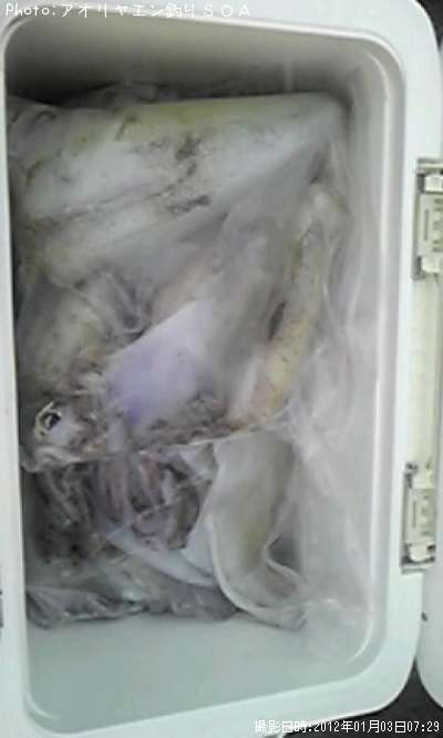 �����ꥤ��