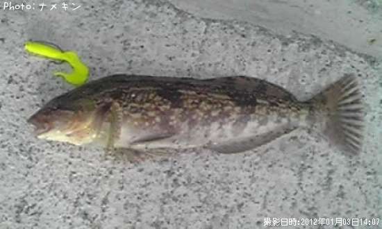 �����ʥ�