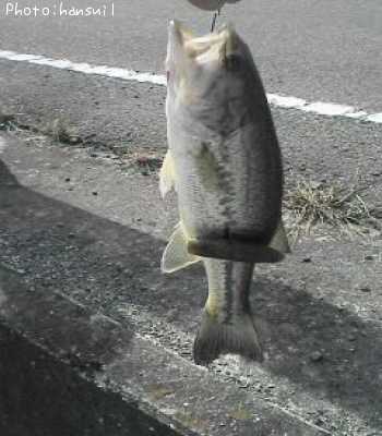 �֥�å��Х�