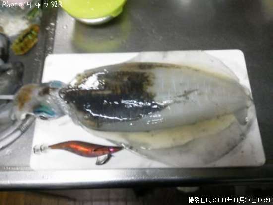 �����ꥤ��