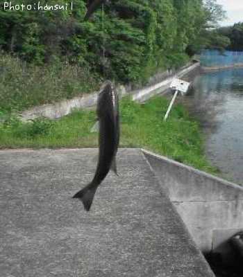 �֥�å��Х�