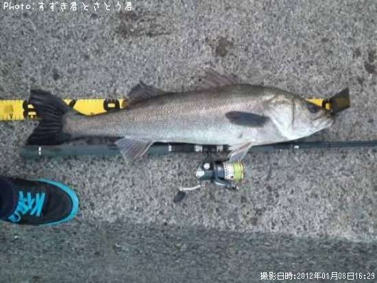 �����Х�