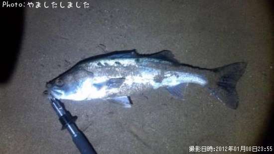 �����Х�