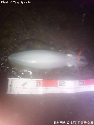 �����ꥤ��